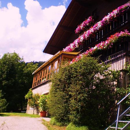 Alpenblick Bed & Breakfast ヴィピテーノ エクステリア 写真